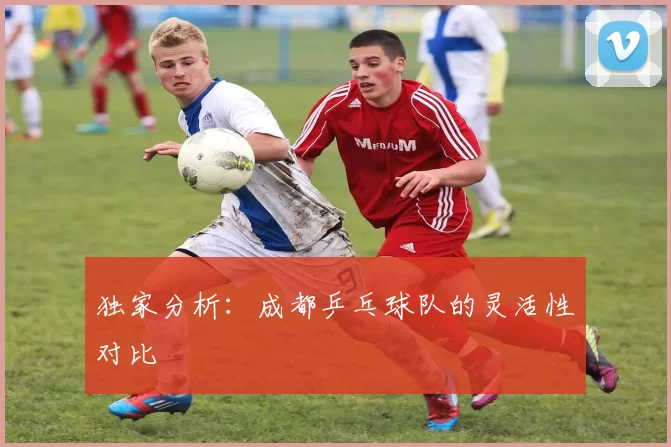 独家分析：成都乒乓球队的灵活性对比