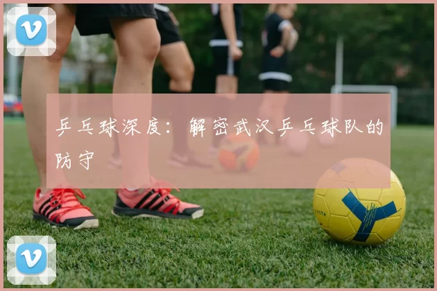 乒乓球深度：解密武汉乒乓球队的防守