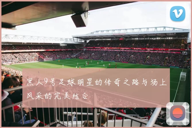 黑人9号足球明星的传奇之路与场上风采的完美结合