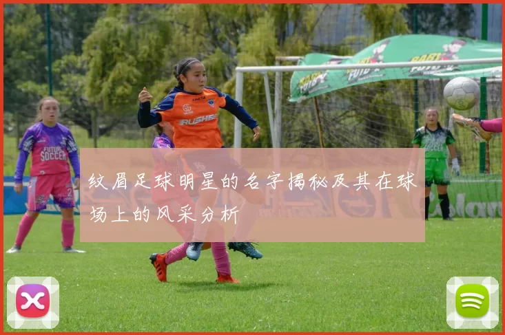 纹眉足球明星的名字揭秘及其在球场上的风采分析