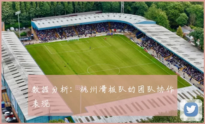 数据分析：杭州滑板队的团队协作表现