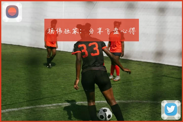 杨伟独家：分享飞盘心得