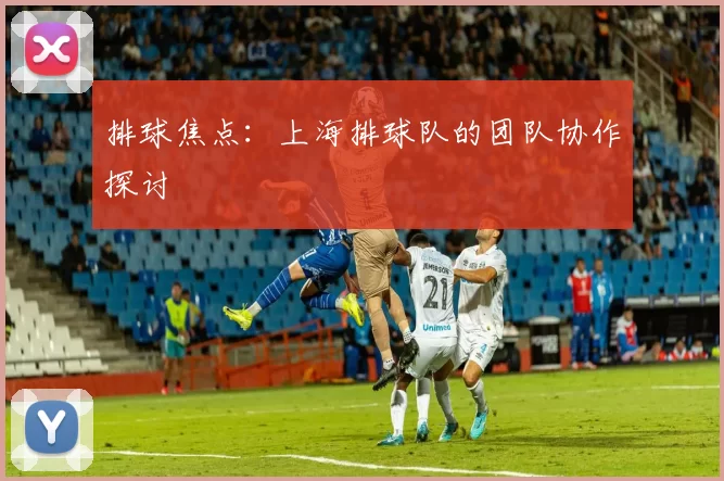 排球焦点：上海排球队的团队协作探讨