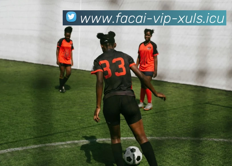 华体会体育品牌故事